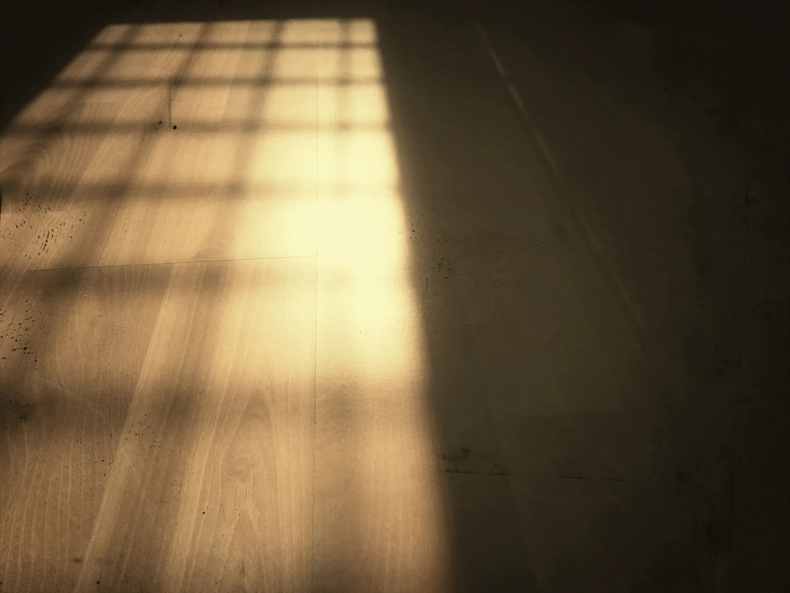Evening sun falling across a wall
